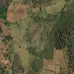 Satellite imagery of Alluvial Workings, ZW