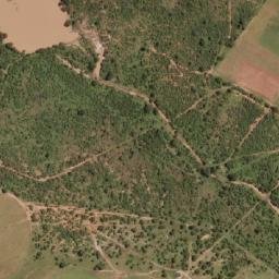 Satellite imagery of Richardson’s, ZW