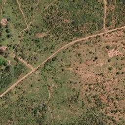 Satellite imagery of Richardson’s, ZW