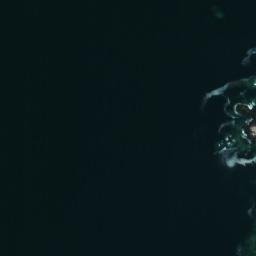 Satellite imagery of Punta Redonda, CL