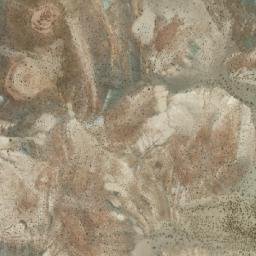 Satellite imagery of Cerro Yana Vinto, BO