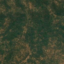 Satellite imagery of Abra Curipauta, BO
