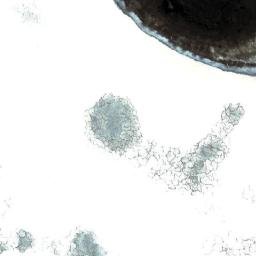 Satellite imagery of Cerro Kimsa Horno, BO