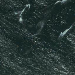Satellite imagery of Punta Barrancos, CL