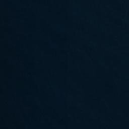 Satellite imagery of Punta Alala, CL