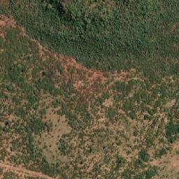Satellite imagery of SHAMBELA, MZ