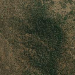 Satellite imagery of LION, MZ