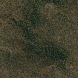 Satellite imagery of LION, MZ