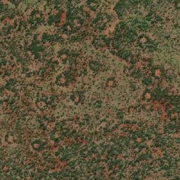Satellite imagery of NYUNYANI, MZ