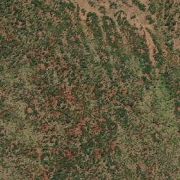 Satellite imagery of NYUNYANI, MZ