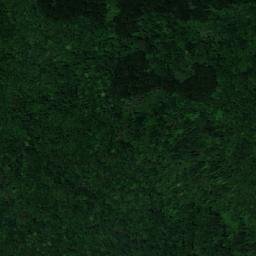 Satellite imagery of ALTO, MZ