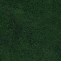 Satellite imagery of ALTO, MZ