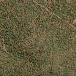 Satellite imagery of TOM, MZ