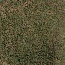 Satellite imagery of TOM, MZ
