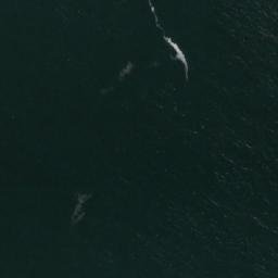 Satellite imagery of Punta Jorgino, CL