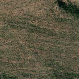 Satellite imagery of GEORGIA, BW