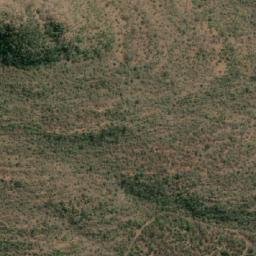 Satellite imagery of GEORGIA, BW