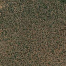 Satellite imagery of GEORGIA, BW