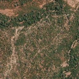 Satellite imagery of RHINO, MZ