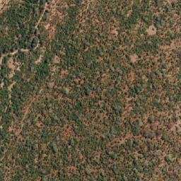 Satellite imagery of RHINO, MZ