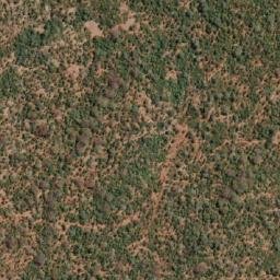 Satellite imagery of RHINO, MZ