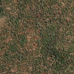Satellite imagery of RHINO, MZ