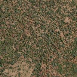 Satellite imagery of RHINO, MZ