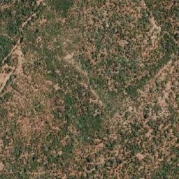 Satellite imagery of RHINO, MZ