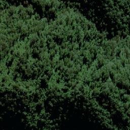 Satellite imagery of Gran Cerro Negro, AR