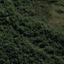 Satellite imagery of Monte Alto, AR