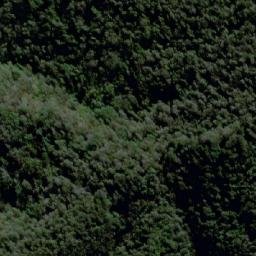 Satellite imagery of Monte Alto, AR
