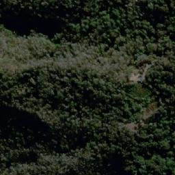 Satellite imagery of Monte Alto, AR