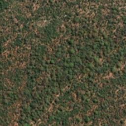 Satellite imagery of ZEBRA, MZ