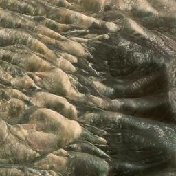 Satellite imagery of Cerro La Ballena, CL