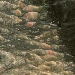 Satellite imagery of Cerro La Ballena, CL