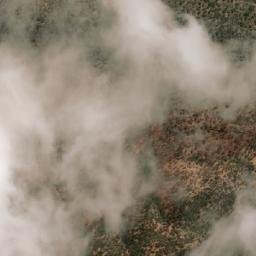 Satellite imagery of Point Howard, AU