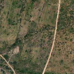 Satellite imagery of DIANA, BW