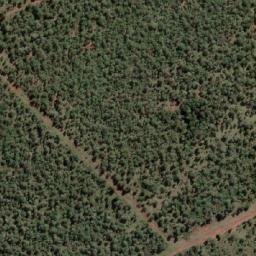 Satellite imagery of Monarch Cobra Cinnabar, ZA