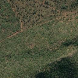 Satellite imagery of COTTONDALE, MZ