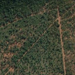 Satellite imagery of COTTONDALE, MZ