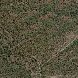 Satellite imagery of Willie, ZA
