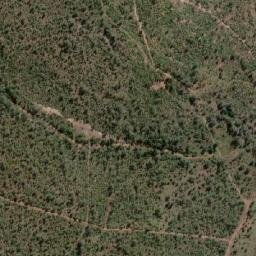 Satellite imagery of Willie, ZA