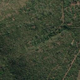 Satellite imagery of LEYDSDORP, MZ