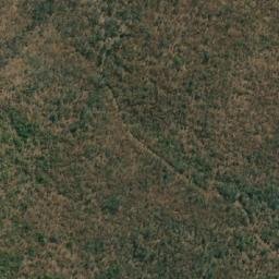 Satellite imagery of LION, MZ