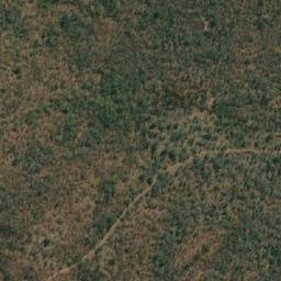Satellite imagery of LION, MZ