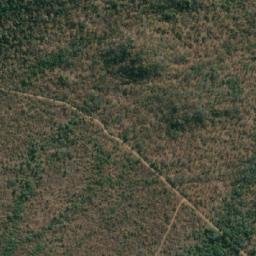 Satellite imagery of LION, MZ