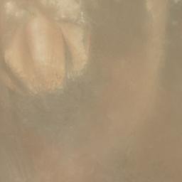 Satellite imagery of Cerro Puruchare, CL