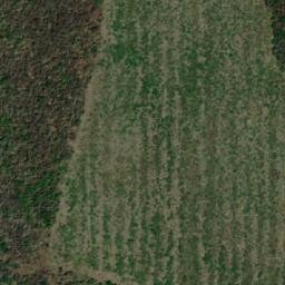 Satellite imagery of Loma Gorda, AR