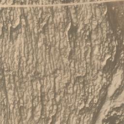 Satellite imagery of Morro San Carlos, CL