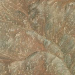 Satellite imagery of Cerro Paranave, CL